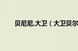 贝尼尼,大卫（大卫贝尔通西尼相关内容简介介绍）