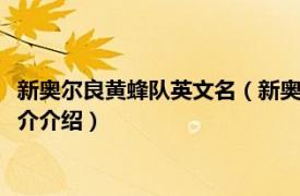 新奥尔良黄蜂队英文名（新奥尔良黄蜂队200910赛季相关内容简介介绍）