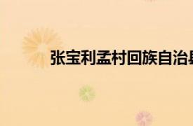 张宝利孟村回族自治县人民检察院检察长简介