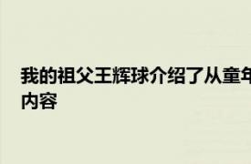 我的祖父王辉球介绍了从童年学徒到中华人民共和国成立的相关内容