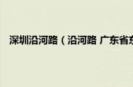 深圳沿河路（沿河路 广东省东莞市沿河路相关内容简介介绍）