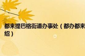 都来提巴格街道办事处（都办都来提巴格社区志愿者服务队相关内容简介介绍）