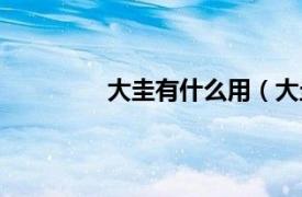 大圭有什么用（大圭相关内容简介介绍）