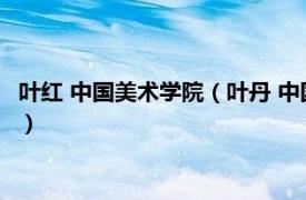 叶红 中国美术学院（叶丹 中国美术学院副教授相关内容简介介绍）