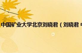 中国矿业大学北京刘晓君（刘晓君 中国矿业大学副教授相关内容简介介绍）