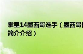 拳皇14墨西哥选手（墨西哥队 游戏《拳皇14》的战队相关内容简介介绍）