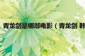 青龙剑是哪部电影（青龙剑 韩磊编剧的电影相关内容简介介绍）