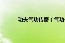 功夫气功传奇（气功传奇相关内容简介介绍）