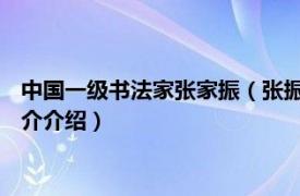 中国一级书法家张家振（张振兴 中国书法家协会会员相关内容简介介绍）