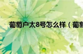 葡萄户太8号怎么样（葡萄户太8号相关内容简介介绍）