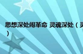 思想深处闹革命 灵魂深处（灵魂深处闹革命 中相关内容简介介绍）