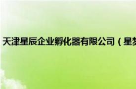 天津星辰企业孵化器有限公司（星梦园科技企业孵化器相关内容简介介绍）