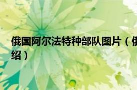 俄国阿尔法特种部队图片（俄国阿尔法特种部队相关内容简介介绍）