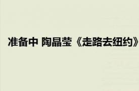 准备中 陶晶莹《走路去纽约》专辑中的歌曲相关内容简介介绍