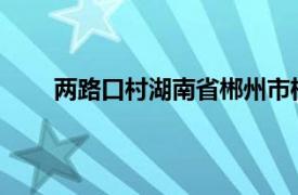 两路口村湖南省郴州市桂阳县叶禾镇两路口村简介