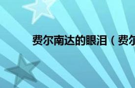 费尔南达的眼泪（费尔南达相关内容简介介绍）