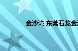 金沙湾 东莞石龙金沙湾相关内容简介介绍