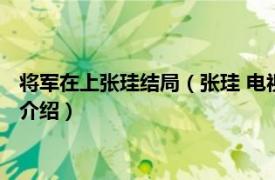 将军在上张珪结局（张珪 电视剧《将军在上》角色相关内容简介介绍）