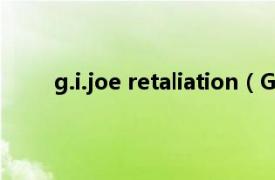 g.i.joe retaliation（G.I. Joe相关内容简介介绍）