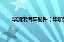 毕加索汽车配件（毕加索 汽车相关内容简介介绍）