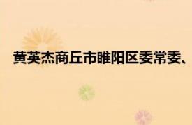 黄英杰商丘市睢阳区委常委、宣传部长、副区长相关内容简介