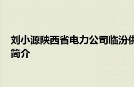 刘小源陕西省电力公司临汾供电公司带电作业班班长的相关内容简介