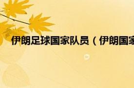 伊朗足球国家队员（伊朗国家男子足球队相关内容简介介绍）