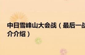 中日雪峰山大会战（最后一战：中日雪峰山会战纪实相关内容简介介绍）