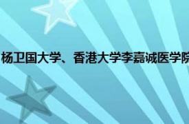 杨卫国大学、香港大学李嘉诚医学院、香港大学临床医学院骨科及创伤学系