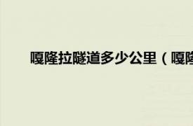 嘎隆拉隧道多少公里（嘎隆拉山隧道相关内容简介介绍）