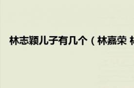 林志颖儿子有几个（林嘉荣 林志颖的儿子相关内容简介介绍）