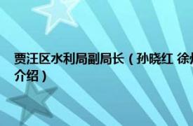 贾汪区水利局副局长（孙晓红 徐州市贾汪区水利局纪检书记相关内容简介介绍）