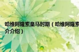 哈维阿隆索皇马时期（哈维阿隆索 1981年生西班牙足球运动员相关内容简介介绍）