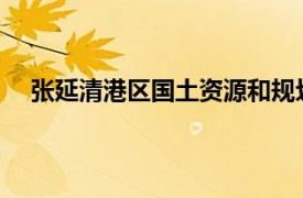 张延清港区国土资源和规划局副科级干部相关内容简介