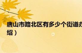 唐山市路北区有多少个街道办事处（唐山路街道相关内容简介介绍）