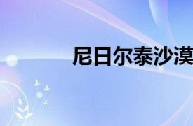 尼日尔泰沙漠中的平衡石简介