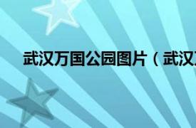 武汉万国公园图片（武汉万国公园相关内容简介介绍）