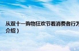 从双十一购物狂欢节看消费者行为（2014双十一购物狂欢节相关内容简介介绍）