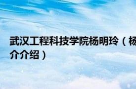 武汉工程科技学院杨明玲（杨明生 湖北工程学院教授相关内容简介介绍）