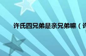 许氏四兄弟是亲兄弟嘛（许氏四兄弟相关内容简介介绍）