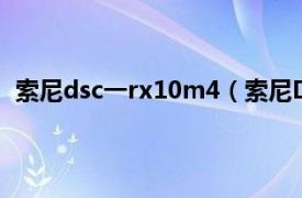 索尼dsc一rx10m4（索尼DSC-RX10相关内容简介介绍）