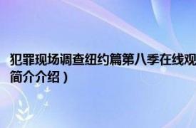 犯罪现场调查纽约篇第八季在线观看（犯罪现场调查：纽约第八季相关内容简介介绍）