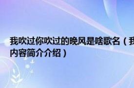 我吹过你吹过的晚风是啥歌名（我吹过你吹过的晚风 安泩演唱的歌曲相关内容简介介绍）