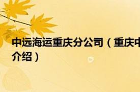 中远海运重庆分公司（重庆中远国际货运有限公司相关内容简介介绍）