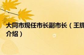 大同市现任市长副市长（王辉 山西省大同市原市长相关内容简介介绍）