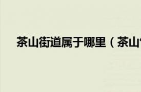 茶山街道属于哪里（茶山竹海街道相关内容简介介绍）