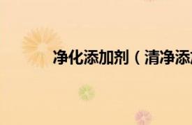 净化添加剂（清净添加剂相关内容简介介绍）