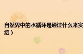 自然界中的水循环是通过什么来实现的（自然界中的水循环相关内容简介介绍）