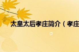 太皇太后孝庄简介（孝庄皇太后1相关内容简介介绍）