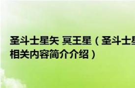 圣斗士星矢 冥王星（圣斗士星矢 NEXT DIMENSION 冥王神话相关内容简介介绍）